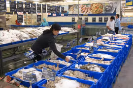 经济外交：大力支持在泰越南企业