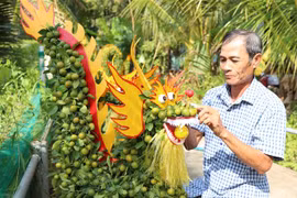 2024年甲辰龙年春节：龙形观赏金桔受市场追捧