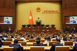 第十五届国会第五次特别会议：在国家目标计划实施中大力向基层分权