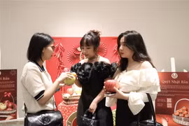 日本水果瞄准越南高端礼品市场