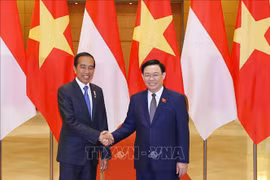 越南国会主席王廷惠会见印度尼西亚总统佐科·维多多