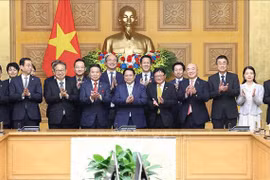 政府总理范明政会见日本经济团体联合会代表团