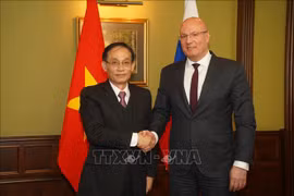 越共中央书记处书记、中央对外部部长黎怀忠率团访问俄罗斯
