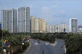 为海外越南人加大对国内房地产领域投资创造便利条件