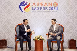 越南外交部与泰国和马来西亚两国外交部加强合作