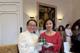 2024甲辰龙年春节：向国际友人推介越南迎春文化