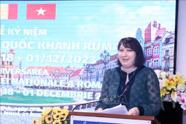 罗马尼亚驻越南大使：范明政罗马尼亚之行是两国关系重要的里程碑