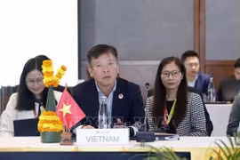 武胡大使：东盟外长非正式会议的成果推动东盟活跃和务实合作