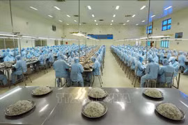 确立越南品牌地位和价值