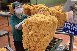 韩国是越南第三大橡胶出口市场 