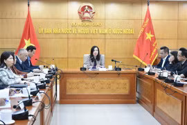 越南外交部副部长：新形势下动员和调动海外越南侨胞的资源