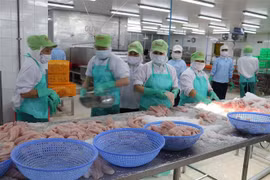2024年一季度越南农林渔产品出口增长21.8%，贸易顺差扩大近一倍