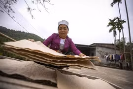 越南和平省芒族人楮纸制造业 承载独特文化内涵 