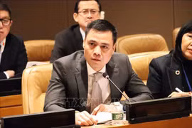 越南强调和平与稳定是解决全球挑战的先决条件