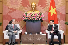 越南国会主席王廷惠会见中国驻越南大使熊波