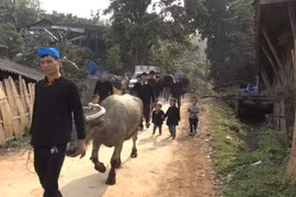 高平省倮倮族同胞的祈雨节