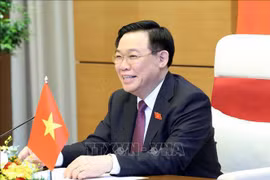 越南国会主席王廷惠与柬埔寨参议院议长洪森通电话