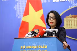 越南外交部发言人：得乐省发生的案件严格按照越南法律规定处理