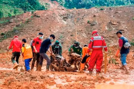 印尼南苏拉威西省发生山体滑坡 造成至少4人死亡