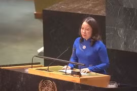 越南国家副主席武氏映春在联合国经济及社会理事会妇女地位委员会第68届会议上发表讲话