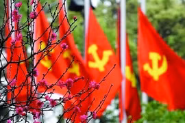 老挝和柬埔寨发来贺电 热烈庆祝越南共产党成立94周年