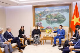 越南与丹麦企业加强对接 开展可再生能源项目
