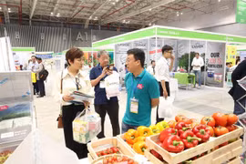 2024年越南果蔬及花卉园艺展在胡志明市举行 