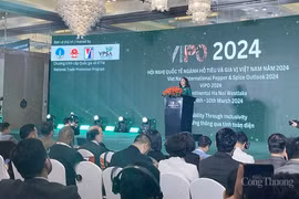 越南胡椒和香料产业国际会议：促进胡椒和调料出口企业之间的对接