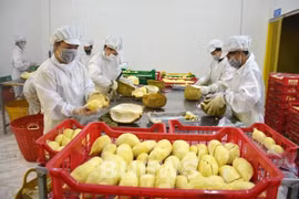 2024年一季度越南果蔬出口额突破10亿美元