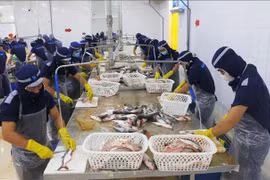 春节假期后胡志明市工人返岗率达97%以上