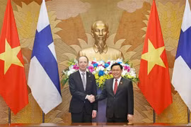 越南国会主席王廷惠与芬兰议会议长尤西·哈拉阿霍举行会谈