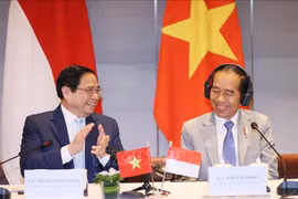 越南政府总理范明政与印尼总统佐科·维多多主持两国企业高级对话会