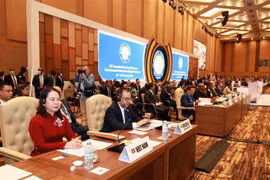 越南国家副主席武氏映春出席第十九届不结盟运动峰会