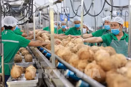 2024 年胡志明市出口展连接越南企业和国际买家