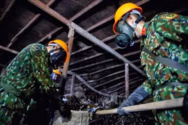越南政府发布履行《禁止化学武器公约》的规定