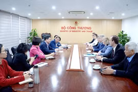 俄罗斯诺瓦泰克公司高度关注越南天然气发电项目