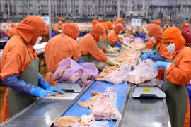 中国香港成为越南最大肉和肉制品出口市场