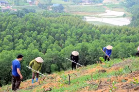 “植十亿树”项目在全国种植近7.7亿棵树