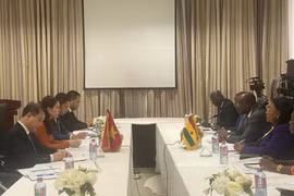 越南外交部副部长阮明姮对加纳进行工作访问