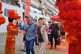 中国专家：越南经济有望保持较快增长 