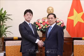 努力推动越日全面战略伙伴关系框架落到实处