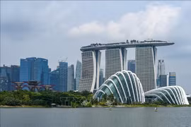 附图。图自越通社
