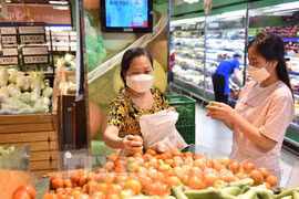附图。图自越通社