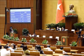 会议场景。图自越通社