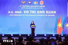 越南国家副主席武氏映春出席首届东盟国家退伍军人企业论坛。图自越通社