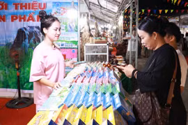2024年广治泛亚桥梁旅游贸易交易会共设近400个展位。图自越通社