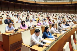 国会代表进行投票。图自越通社