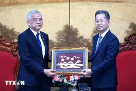 岘港市委书记、岘港市国会代表团阮文广（右）向老挝人民革命党中央委员会、老挝国会副主席宋玛·奔舍那送上纪念品。图自越通社