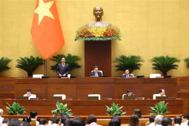 国会副主席陈光方主持会议。图自越通社