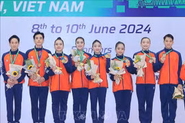 越南代表团在第九届亚洲健美操锦标赛排行榜上排名第一 。图自越通社